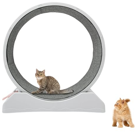 Laufrad FüR Katzen, Katzenlaufrad Mit Arretierung Max. TragfäHigkeit 10kg, FitnessgeräT Zur Gewichtsabnahme, Geeignet FüR Zuhause, Pet Shop, Etc