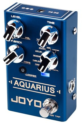 JOYO Digital Delay Effektpedal mit Looper 5 Minuten R Series 8 Delay Effekte für E-Gitarre (Aquarius R-07)