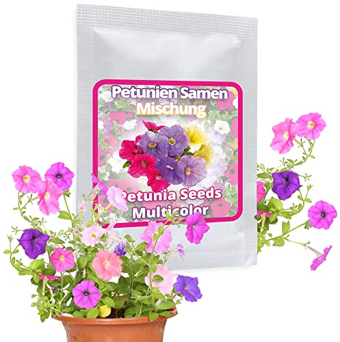Magic of Nature Petunien Samen ca. 250 Stück - Vielblumige Mischung - bunte Petunie - Blumensamen für Balkon, Terasse & Garten
