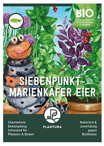 Plantura Siebenpunkt-Marienkäfer Eier gegen Blattläuse, wirksam & nachhaltig, 150 Nützlinge