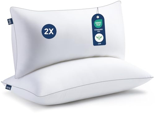 BedStory Kopfkissen 40x80, Kissen 2er Set mit Hochwertiger Mikrofarsern Kissenfüllung 950g x 2, Waschbares und Weiches Füllkissen Bettkissen Schlafkissen Sofa Kissen Seitenschläferkissen