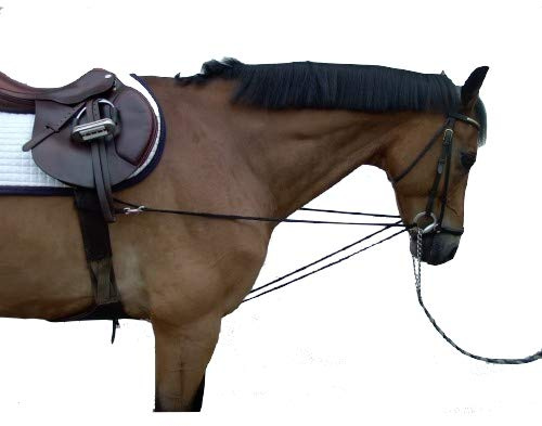 pfote-und-huf Dreieckszügel Wiener Zügel Laufferzügel Pony