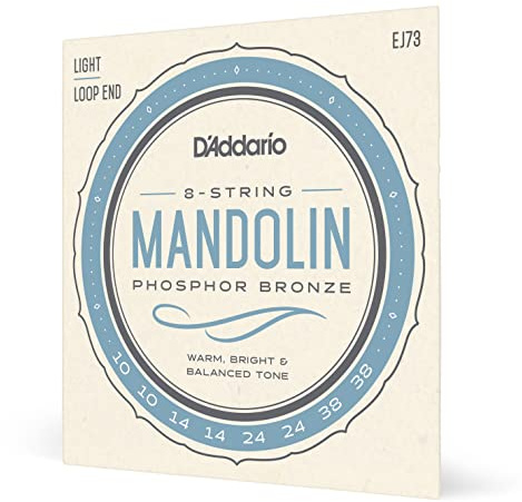 D'Addario EJ73 Mandola Mandocello Mandobass Mandoline Saitensatz phosphorbronze light