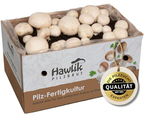 Hawlik Pilzbrut Champignon Pilzzuchtset XXL – Großes Komplettset für den kinderleichten Anbau zu Hause – Hohe und schnelle Ernteerträge - Ideal für Anfänger/als Geschenk für Kinder und Gartenfreunde