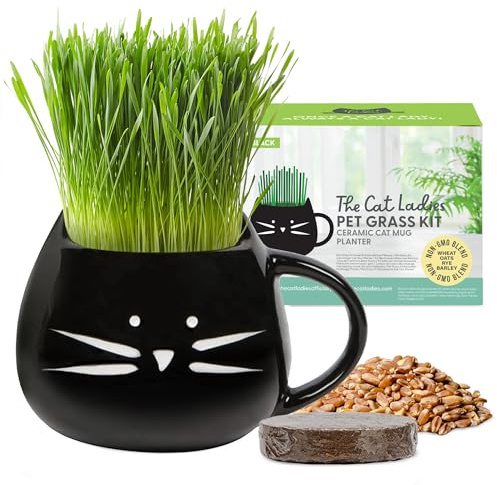 The Cat Ladies Katzengras Kit mit Keramik Katzen Pflanzgefäß - Saatgut und Erde - Katzengras Samen mit Schale - Cat Grass für Katzen - Snack Samen Set - Katzenpflanzen