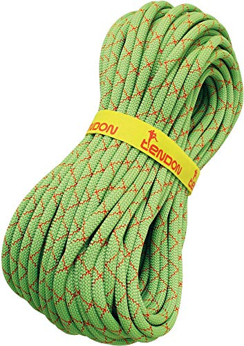 Tendon 9,8 mm Smart lite dynamisches Kletterseil, Farbe:grün, Länge:40 m