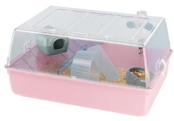 FERPLAST Gabbia Roditori MINI DUNA HAMSTER per Criceti, Topolini, in Plastica, Accessori inclusi: Mangiatoia, Beverino, Ripiano, Casetta, Scaletta, Ruota. 55x39xh27cm