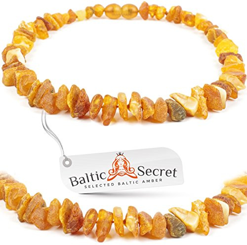 Bernsteinkette Hund | Bernsteinhalsband für Hunde und Katzen | Hundehalsband I Natürliches Halsband Hund aus echt Bernstein (20 cm)