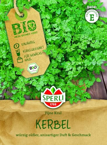 Sperli BIO Kerbelsamen 84041 - Würzig-süßer anisartiger Duft & Geschmack, ideal für Suppen & Salate, Kräutersamen für Freiland & Hochbeet, schnellwachsend, Saatgut, Kräuter