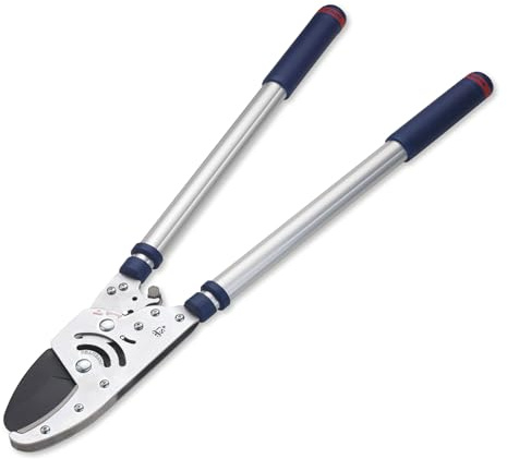 Spear & Jackson 8290RS Razorsharp Advance robuste Teleskop-Ratschen-Amboss-Astschere