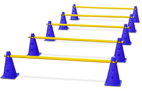 HAEST - Agility Set für Hunde, 15-teiliges steckbares Steckhürdenset (5 Stangen, 10 Hütchen), für Hundetraining & Cavaletti, Hindernis-Parcours, 3 Höhen: 8cm, 14cm & 20cm, für kleine & große Hunde