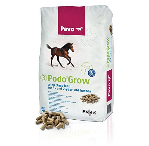 Pavo 164553