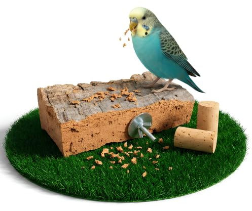 Hochwertiges Korksitzbrett 20 x 10cm perfektes Vogelspielzeug - Kork Sitzbrett für Wellensittich + 2 Knabberkorken aus Natur-Kork hitzebehandelt - inkl. Befestigungsmaterial als Zubehör im Käfig