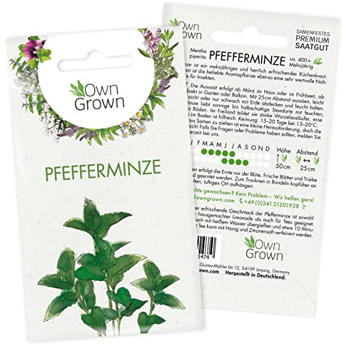Pfefferminze Samen: Premium Kräuter Samen zum Anbau von ca. 300 Pfefferminze Pflanzen – Mehrjährige Minze Samen – Kräuter Pflanzen für Garten und Balkon – Beste OwnGrown Kräuter Saat