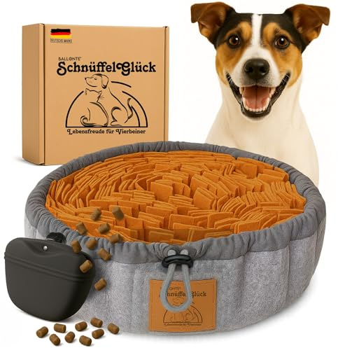Schnüffelteppich Hund – Hundespielzeug 2-in-1 Set mit Leckerli-Beutel – Schnüffelmatte Beschäftigung für kleine & große Hunde & Welpen – Intelligenzspielzeug Nasenarbeit, rutschfest & waschbar
