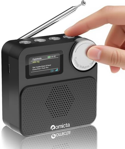 Romicta DAB/DAB+ Radio mit Bluetooth 5.0, tragbares Digitalradio mit UKW, Farbdisplay, MicroSD-Karten-Slot, Wecker & Timer, wiederaufladbar, ideal für Zuhause & unterwegs