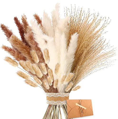 Pampasgras Getrocknet - Natürliche Trockenblumen, Braun、Weiß Pampasgras Flauschige Wedel, Lagurus und Schilfblume Trockenblumen Strauß Dried Flowers, für Blumen Arrangements Heim Decor