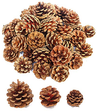 30 Stück natürlich getrocknete Tannenzapfen, Weihnachtsschmuck, Zapfen für Weihnachtsbaum, Party, hängende Dekoration, Basteln, Braun, 3 Größen