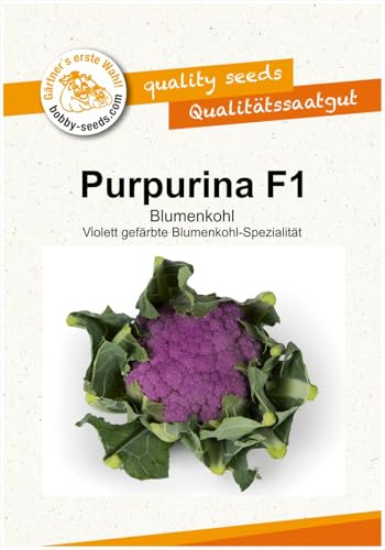Blumenk. Purpurina F1 Kohlsamen von Bobby-Seeds