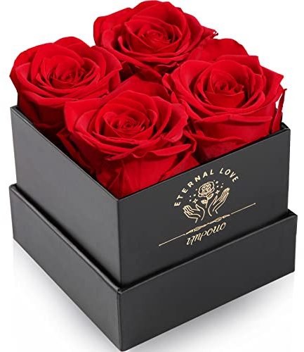 Impouo Ewige Rose,4 Infinity Rosen,Rosenbox,Konservierte Rose,Geburtstagsgeschenke FüR Frauen, Geschenke FüR Mutter/Freundin/Ehefrau/Oma, Geburtstag, Valentinstag,Ewige Blume,Rote rosen