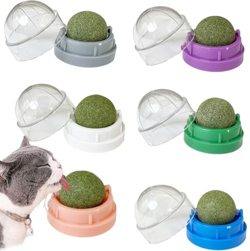 RNXSIB 6 Stück Catnip Balls, Katzenminze Ball Wand, Bürsten Sie die Zähne Ihrer Katze und Schützen Sie Ihren Magen, Katzenleckspielzeug mit Katzenminze, Catnip Toys that Stick On Wall