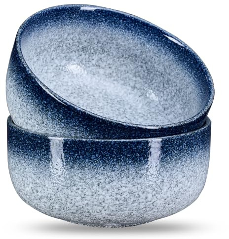mehrido 2 Stück Müslischalen, 950ml Keramik Ramen Schüssel Set | Suppenschalen; Pastaschüssel für Müsli, Suppe, Nudeln, Salat, Ramen, Pasta, Knödel; Mikrowellen-, Spülmaschinen- und Ofenfest