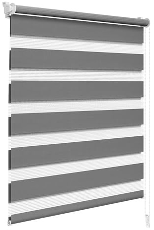 WOLTU Doppelrollo Klemmfix ohne Bohren Dunkelgrau B75 x H150 cm, Duo Rollo lichtdurchlässig Fensterrollo für innen verdunkelnd, Zebrarollo mit Kettenzug - Seitenzugrollo für Fenster und Tür