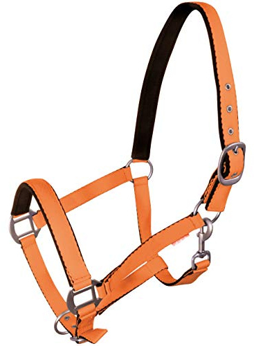 York Pferde Halfter Fluo weich unterlegt Stallhalfter Weidehalfter Reithalfter (Full, orange)