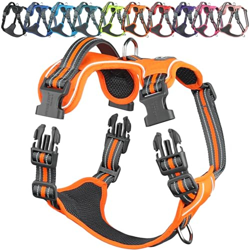 VIVAGLORY Anti Zieh Geschirr für Hunde Hundegeschirr, M, Orange, A | Antizuggeschirr mit Gepolstert Griff & Brustring, Anti Zieh Mitwachsend Ausbruchsicher & Reflektierend für Welpe Hund