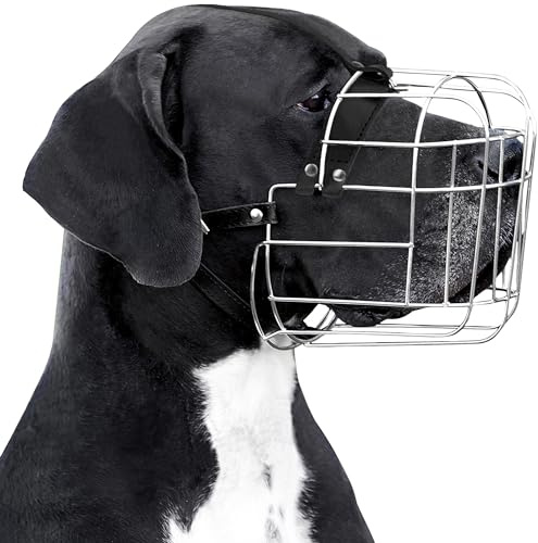 BRONZEDOG Hundemaulkorb Verstellbar Robustes PVC/Metalldrahtkorb für Große und Sehr Große Hunde mit Lederbändern Atmungsaktiv, Trinkfähig, Training, Verhindert Beißen (Great Dane, Edelstahl)