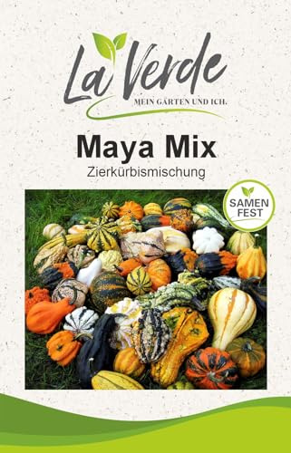 La Verde MEIN GARTEN UND ICH. Maya Mix Zierkürbis Samen für ca. 8-10 Pflanzen, bunte Kürbismischung, dekorativ, nicht essbar, Saatgut ohne Gentechnik