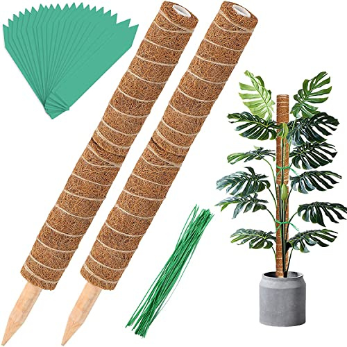 Augshy 4 Stück 30.5 cm Kokosfaser Totemstange Moosstangen für Zimmerpflanzen, Kletterpflanzen, Pflanzentotem für Pflanzenunterstützung, Creepers, mit 40 Pflanzenetiketten und 40 Spiralbindern