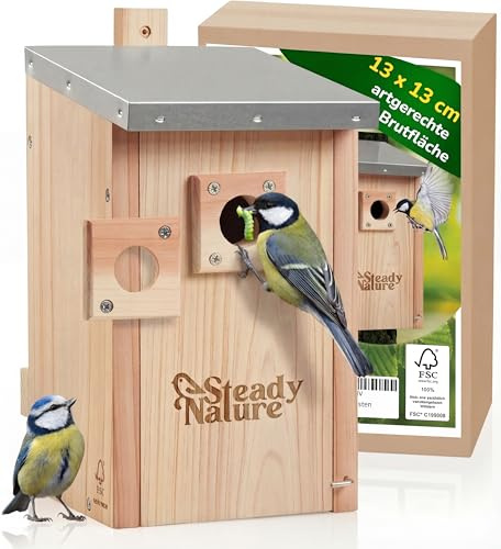 Steady Nature Nistkasten Meisen für Blaumeisen und Kohlmeisen - Meisennistkästen zum Aufhängen - Meisenkasten - Vogelhaus - Vogelhotel - Brutkasten für Vögel