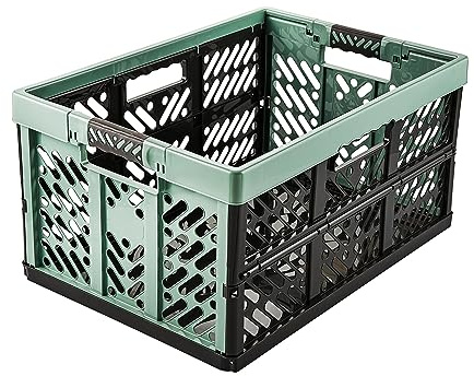 keeeper Stabile Profi-Klappbox mit Soft-Touch Griffen, 54 x 37 x 28 cm, 45 l, Ben, Nordic Green