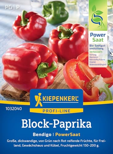 Kiepenkerl Block-Paprikasamen Bendigo 1032040, Gemüsesaat | Große und dickwandige Früchte, Wuchshöhe 80-100 cm, für Hochbeet, Freiland & Gewächshaus
