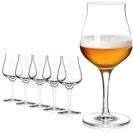 Sahm Biergläser Set 6 STK - 420ml Bier Sensorik Pokal - Spülmaschinengeeignet - Ideales Gourmet Geschenk & Craft Beer Gläser