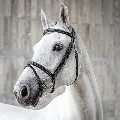 SUNRIDE Englisch kombinierte Trense für Pferde (London) - mit Zügeln - weiches Echtleder - extra Polsterung - anatomisch, verstellbar - handgefertigt - mit Ziernähten - rostfrei - schwarz (Pony)