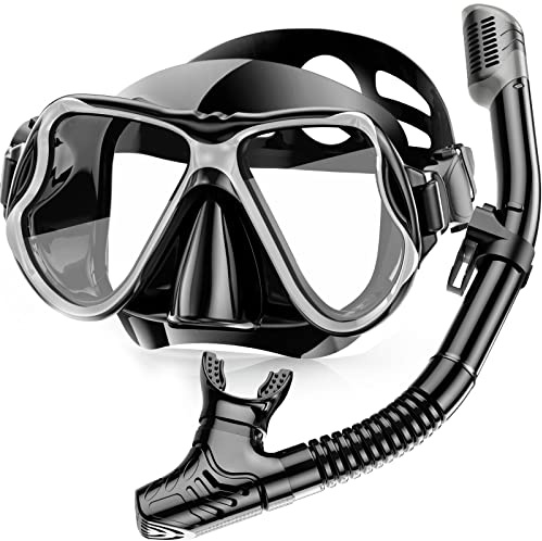 Karvipark Schnorchelset Erwachsene, Schnorcheln Set mit Taucherbrille und Dry Schnorchel, Anti-Leck & Anti-Fog Tauchmaske, Professionelle Schnorchel ausrüstung für Schnorcheln, Schwimmen und Tauchen