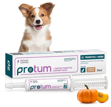 Zanipro Veterinary Probiotika Hund Spritze – 100% Natürliche Paste, 30 ml | Zur Unterstützung von Darmgesundheit und Darmflora, bei Magen Darm & Durchfall, Magenschutz mit Prä- und Probiotika, Kürbis