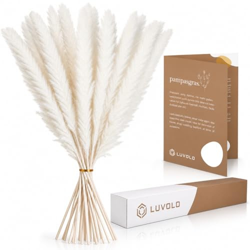 LUVOLO® Pampasgras Deko – Hochwertige und Flauschige Trockenblumen im Boho-Stil für Moderne Wohnzimmer, Büro, Praxis & Salon – pflegeleicht, sicher und nachhaltig verpackt