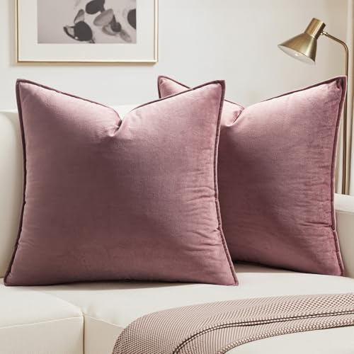 MIULEE Samt Kissenbezug 40x40 Kissen Marmelade Kissenhülle Dekokissen | Sofakissen Dekorative Satin Umwickelte Kante Kissenbezüge Zierkissenbezug für Sofa Wohnzimmer Schlafzimmer 2er Set
