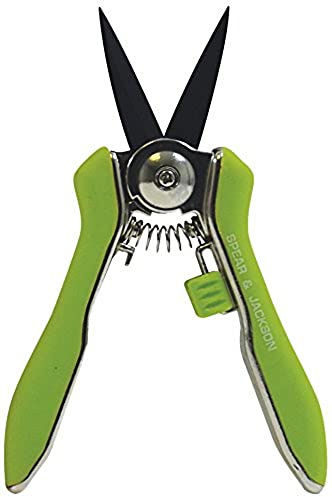 Spear & Jackson 56418G Gartenschere Kompakt, SK5 Stahlklingen, Präzisionsschere für Gartenarbeiten, Sicherheitsverschluss, Grün