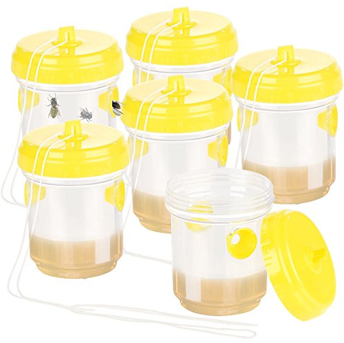 Exbuster Wespenfallen: Giftfreie Wespen- & Fliegenfalle zum Hinstellen und Aufhängen, 6er-Set (Fliegenfalle Lebend, Wasp Trap, Abwehr)