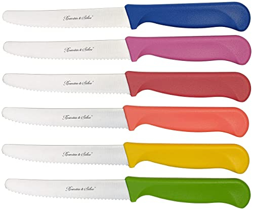 Rosenstein & Söhne Brötchenmesser: 6er-Set bunte Frühstücksmesser mit Wellenschliff, 11,4 cm Klingenlänge (Brotmesser, Vespermesser, bunt)