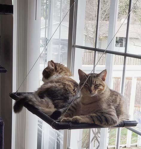 Dracarys Katzen hängematte Fenster | für große Katzen bis 20 kg | Verstärkte Katzenhängematte mit starkem Saugnapf | Sonnenbad Katzenbett Haustierbett，Geeignet für Fensterlänge ≥76cm und Höhe ≥64 cm