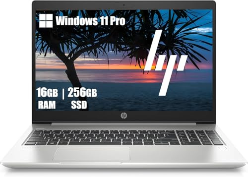 HP ProBook 450 G7 Business Laptop, 15.6 Zoll (1366x768), Intel Core i5-10210U, 16GB RAM, 256GB SSD, QWERTY Tastatur, Windows 11 Pro (Generalüberholt)