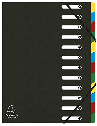 Exacompta 55121E Premium Ordnungsmappe Harmonika. Aus extra starkem Colorspan-Karton DIN A4 12 Fächer und 2 Gummizüge mit Indexfenster und dehnbarem Rücken Register-Mappe schwarz [Office Product]