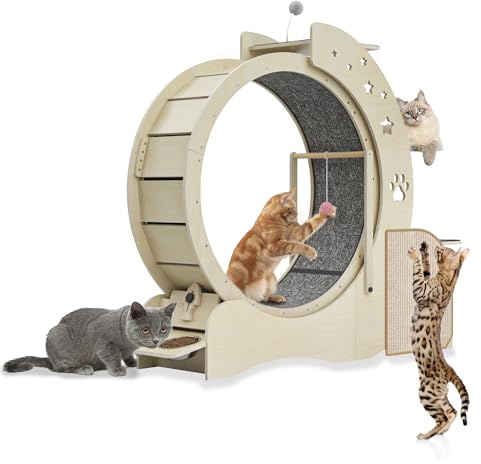 Julymoda Katzenlaufrad Großes Laufrad Φ80cm, 5 in 1 Katzenrad Ink. Katzhaus/Spielstation/Kratzpads/2*Katzennäpfe/Katzen Spielzeug mit Schloss