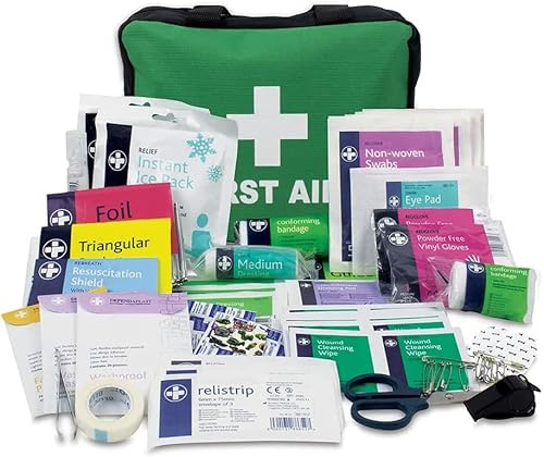 Lewis-Plast Reliance Medical Erste-Hilfe-Set Tasche – 160 Stück Überlebens-Kits – Sicherheits-Essentials für Reisen, Auto, Zuhause, Camping, Arbeit, Wandern, Urlaub – Packzubehör – Medium