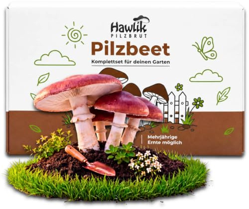 Hawlik Pilzbrut - Braunkappe Pilzbeet-Set für den Garten - In 30 Minuten angelegt - Mehrjährig frische Pilze ernten - Kinderleicht Pilze züchten Set - Verwandle ungenutzten Gartenboden in Speisepilze